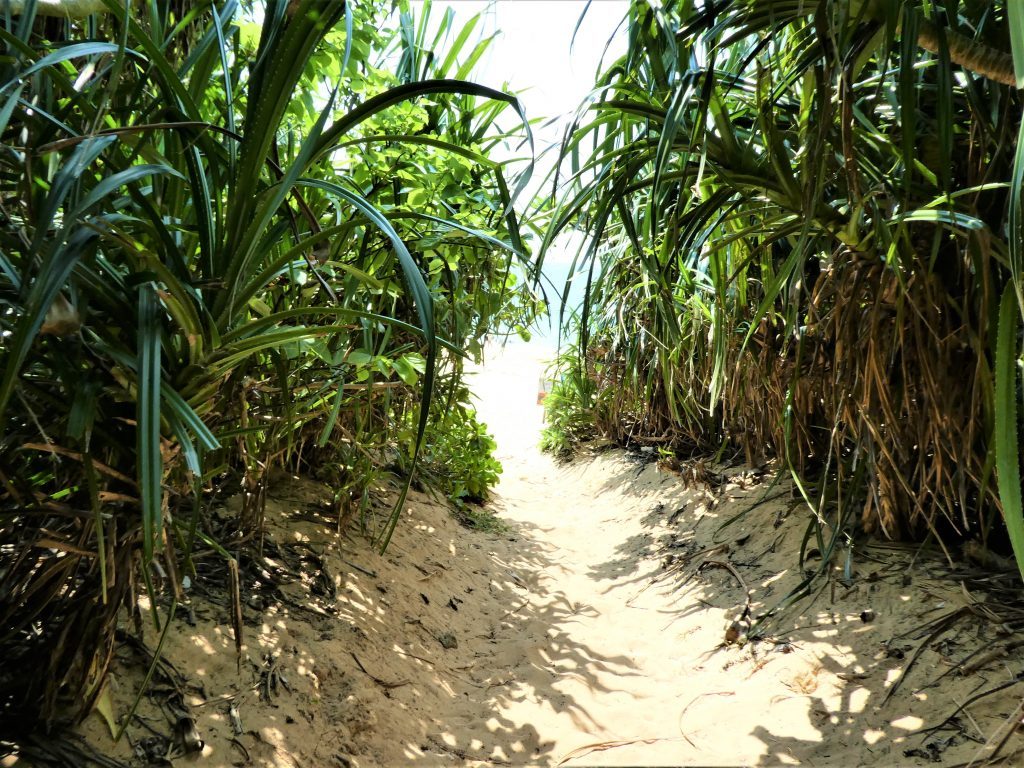 石垣島・サンセットビーチに繋がる道