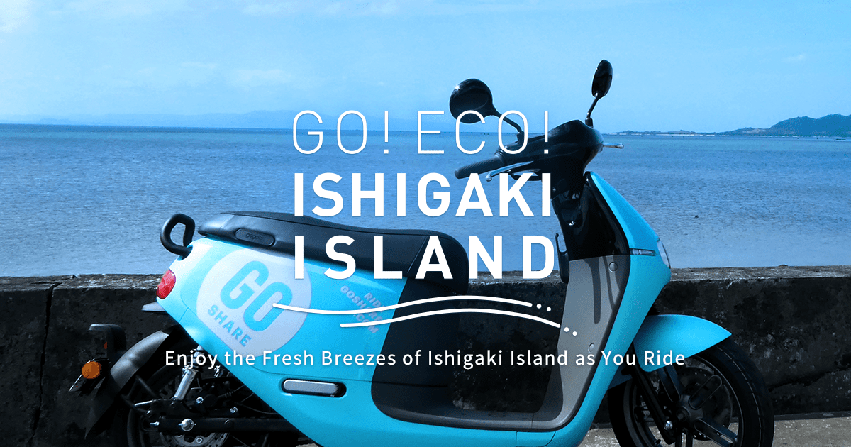 I hele verden besværlige Hælde Electric Bike Rental Service in Ishigaki,Okinawa｜GO SHARE【Official Website】
