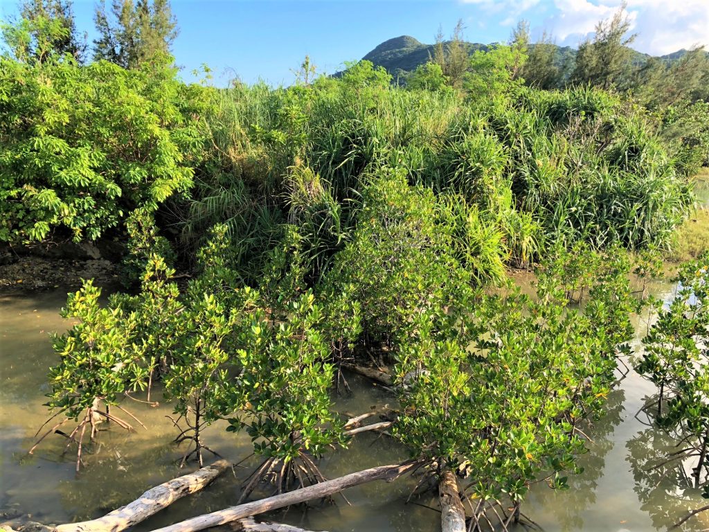 石垣島最北部電池交換站 Go Station 伊原間 E Share 部落格